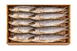 Žerech sušená ryba