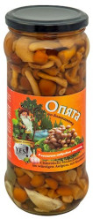 Nakládaná Václavka s česnekem 530g (čistá hmotnost 315g) U.Z.