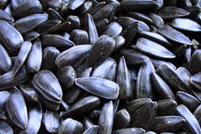 detail SEMÍNKA ČERNÉ SYROVÉ