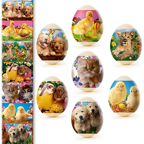 detail Nálepky na vejce 7ks Různé druhy